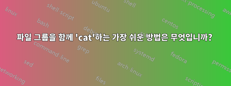 파일 그룹을 함께 'cat'하는 가장 쉬운 방법은 무엇입니까?