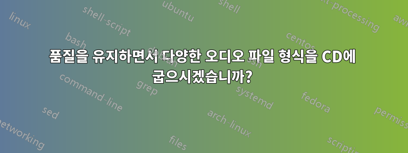 품질을 유지하면서 다양한 오디오 파일 형식을 CD에 굽으시겠습니까?