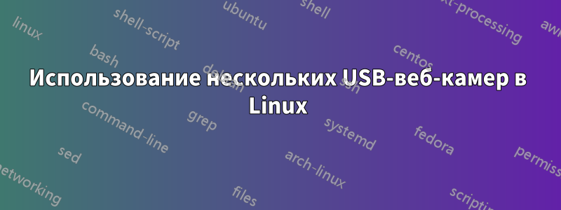 Использование нескольких USB-веб-камер в Linux