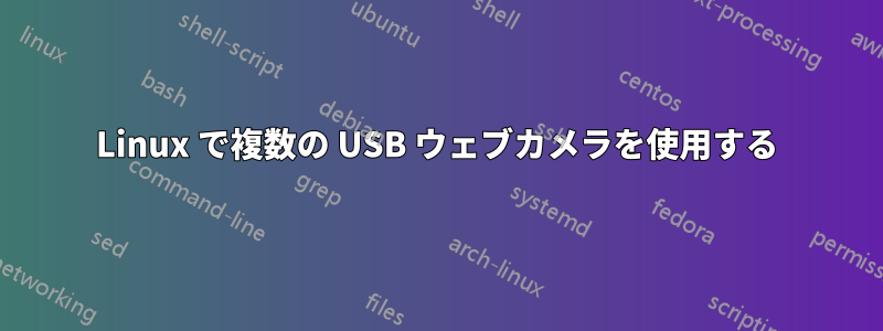 Linux で複数の USB ウェブカメラを使用する