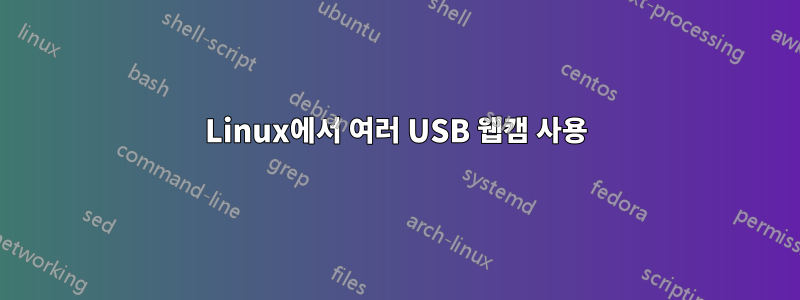 Linux에서 여러 USB 웹캠 사용