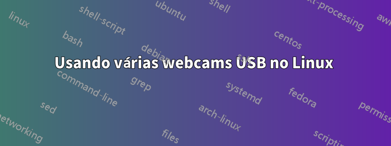 Usando várias webcams USB no Linux