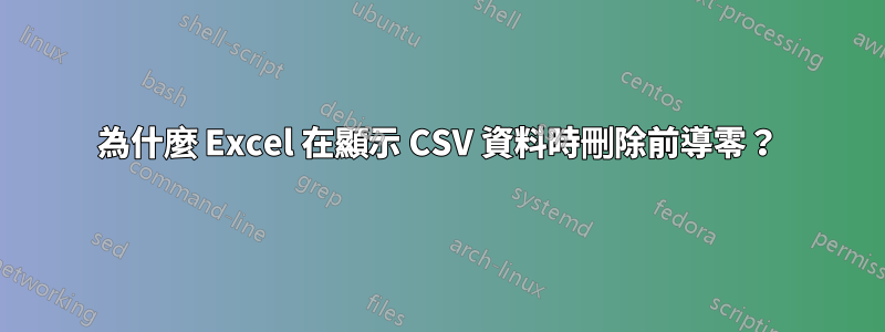 為什麼 Excel 在顯示 CSV 資料時刪除前導零？