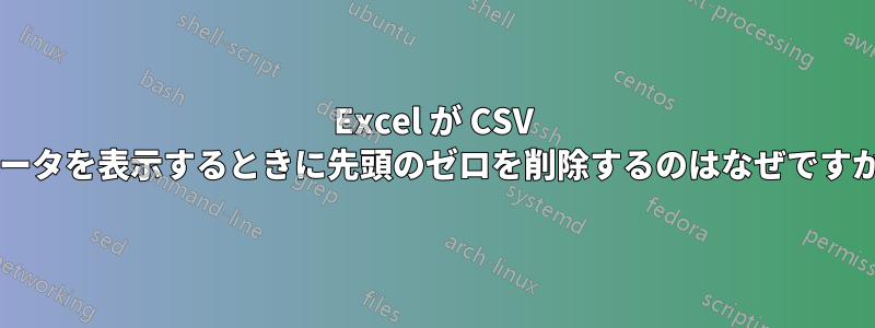 Excel が CSV データを表示するときに先頭のゼロを削除するのはなぜですか?