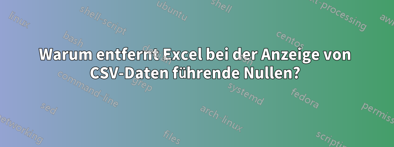 Warum entfernt Excel bei der Anzeige von CSV-Daten führende Nullen?