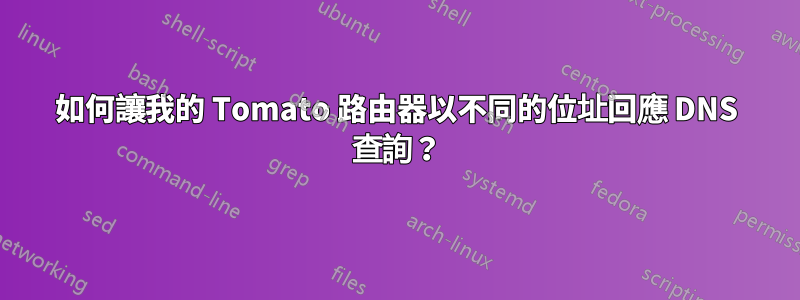 如何讓我的 Tomato 路由器以不同的位址回應 DNS 查詢？