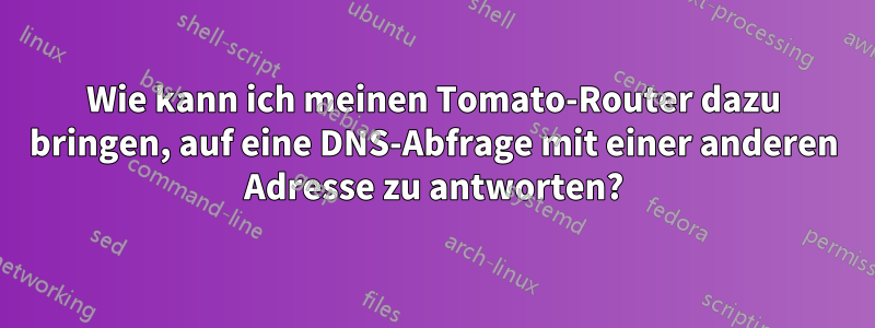 Wie kann ich meinen Tomato-Router dazu bringen, auf eine DNS-Abfrage mit einer anderen Adresse zu antworten?