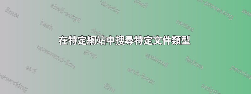 在特定網站中搜尋特定文件類型