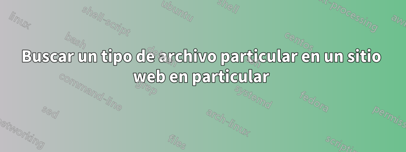 Buscar un tipo de archivo particular en un sitio web en particular