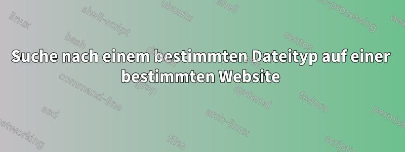 Suche nach einem bestimmten Dateityp auf einer bestimmten Website