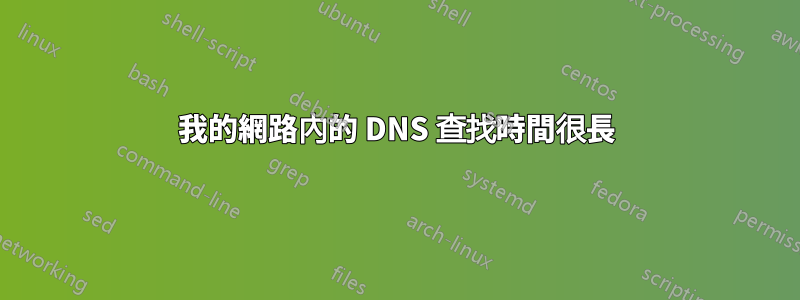 我的網路內的 DNS 查找時間很長