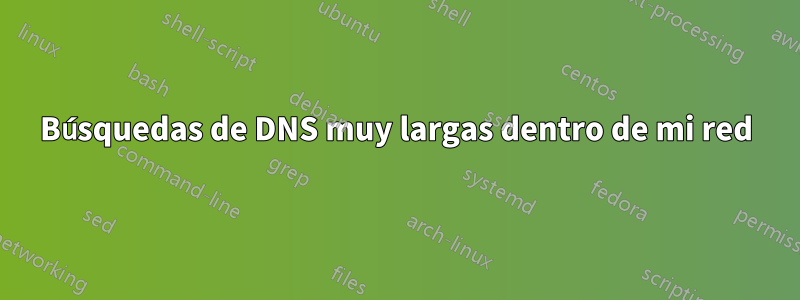 Búsquedas de DNS muy largas dentro de mi red