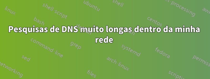 Pesquisas de DNS muito longas dentro da minha rede