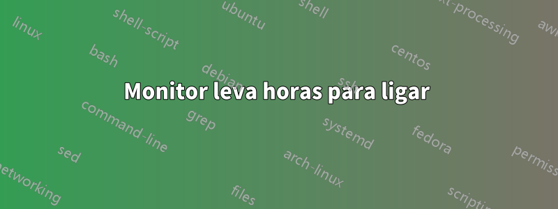 Monitor leva horas para ligar