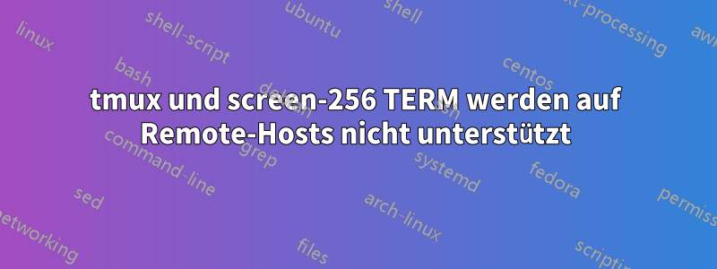 tmux und screen-256 TERM werden auf Remote-Hosts nicht unterstützt