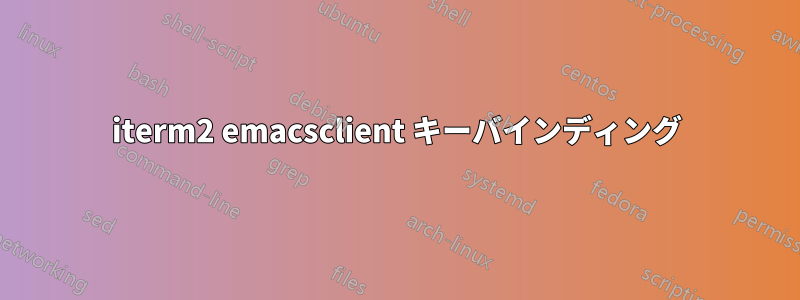 iterm2 emacsclient キーバインディング