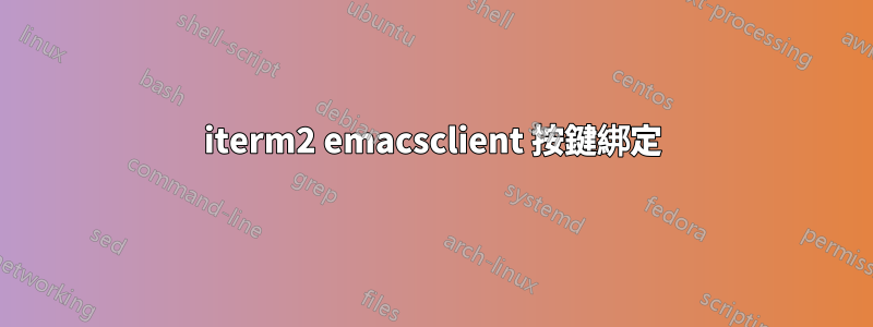 iterm2 emacsclient 按鍵綁定