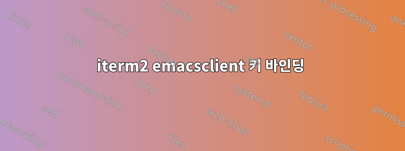 iterm2 emacsclient 키 바인딩