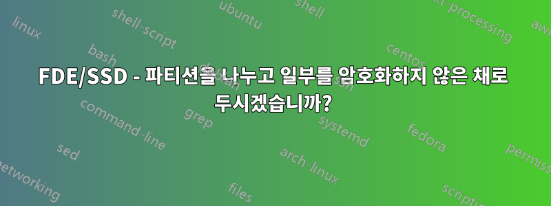 FDE/SSD - 파티션을 나누고 일부를 암호화하지 않은 채로 두시겠습니까?