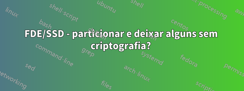 FDE/SSD - particionar e deixar alguns sem criptografia?