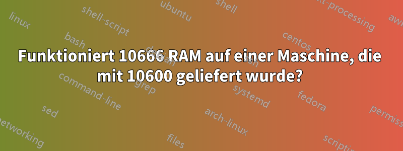 Funktioniert 10666 RAM auf einer Maschine, die mit 10600 geliefert wurde?