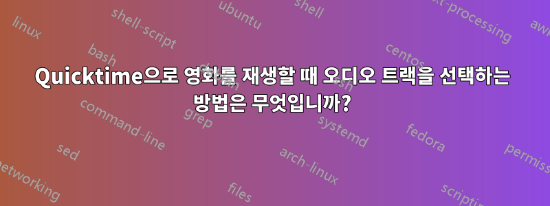 Quicktime으로 영화를 재생할 때 오디오 트랙을 선택하는 방법은 무엇입니까?