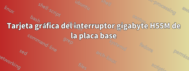 Tarjeta gráfica del interruptor gigabyte H55M de la placa base