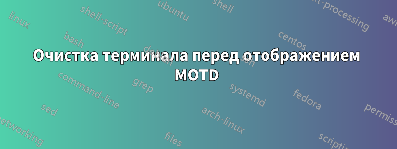 Очистка терминала перед отображением MOTD