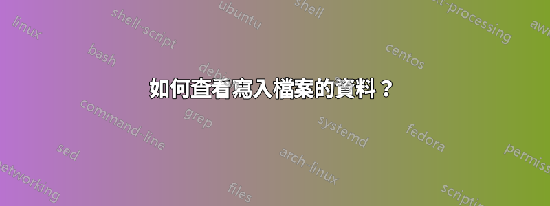 如何查看寫入檔案的資料？