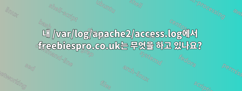 내 /var/log/apache2/access.log에서 freebiespro.co.uk는 무엇을 하고 있나요?