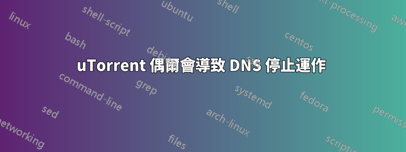 uTorrent 偶爾會導致 DNS 停止運作