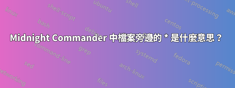 Midnight Commander 中檔案旁邊的 * 是什麼意思？