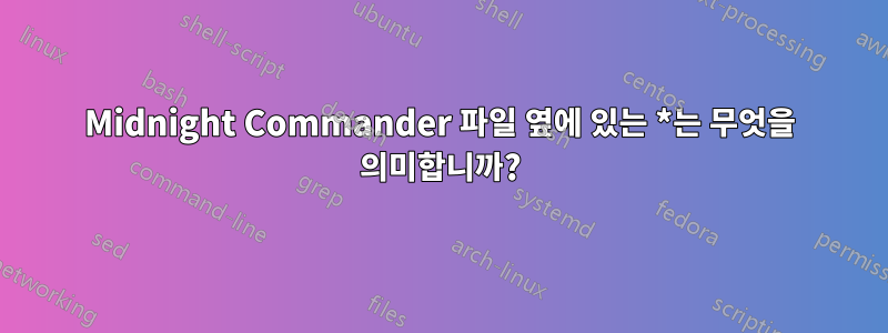 Midnight Commander 파일 옆에 있는 *는 무엇을 의미합니까?