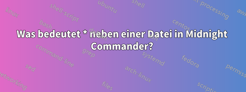 Was bedeutet * neben einer Datei in Midnight Commander?