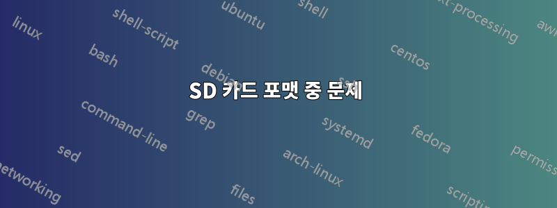 SD 카드 포맷 중 문제