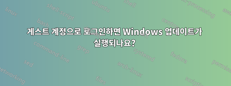 게스트 계정으로 로그인하면 Windows 업데이트가 실행되나요?