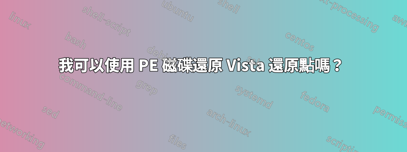 我可以使用 PE 磁碟還原 Vista 還原點嗎？