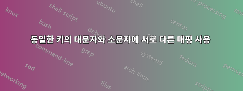 동일한 키의 대문자와 소문자에 서로 다른 매핑 사용