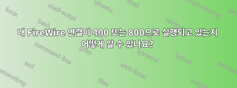 내 FireWire 연결이 400 또는 800으로 실행되고 있는지 어떻게 알 수 있나요?