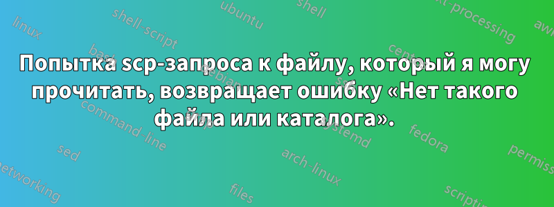 Попытка scp-запроса к файлу, который я могу прочитать, возвращает ошибку «Нет такого файла или каталога».