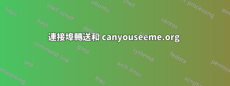 連接埠轉送和 canyouseeme.org