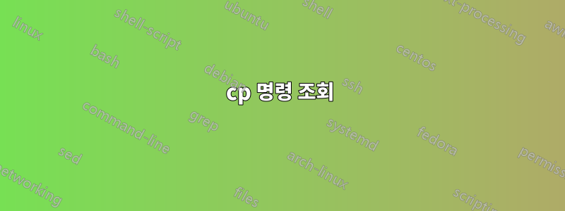 cp 명령 조회