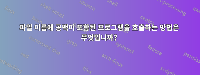 파일 이름에 공백이 포함된 프로그램을 호출하는 방법은 무엇입니까?