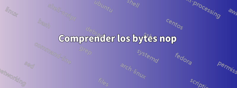 Comprender los bytes nop