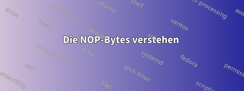 Die NOP-Bytes verstehen