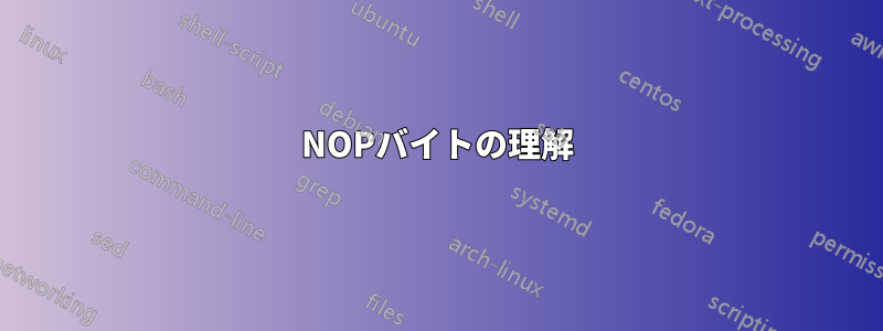 NOPバイトの理解