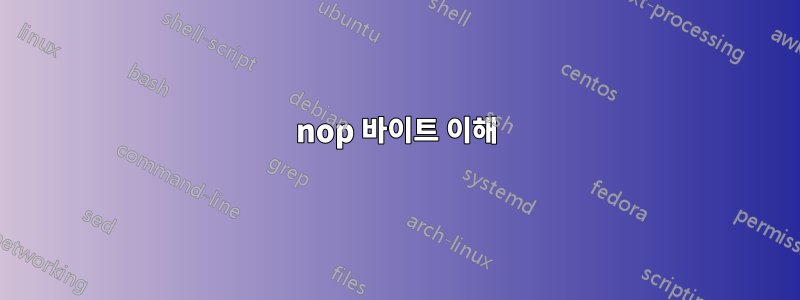 nop 바이트 이해