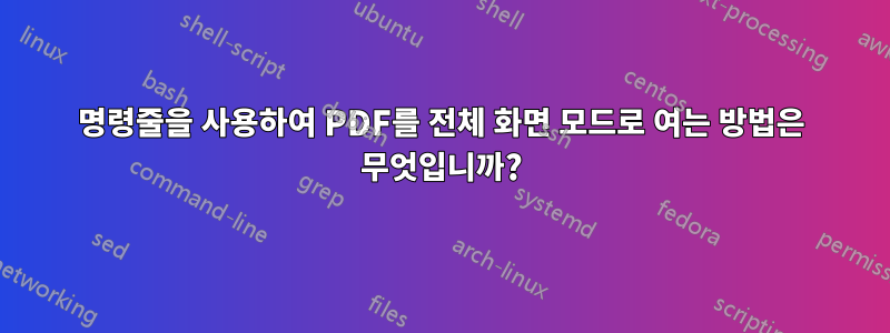 명령줄을 사용하여 PDF를 전체 화면 모드로 여는 방법은 무엇입니까?