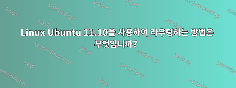 Linux Ubuntu 11.10을 사용하여 라우팅하는 방법은 무엇입니까? 