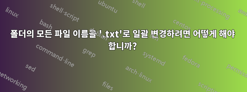 폴더의 모든 파일 이름을 '.txt'로 일괄 변경하려면 어떻게 해야 합니까?